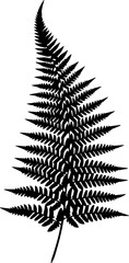 Detailed silhouette of a fern frond with intricate leaf patterns and a distinct curved tip design element