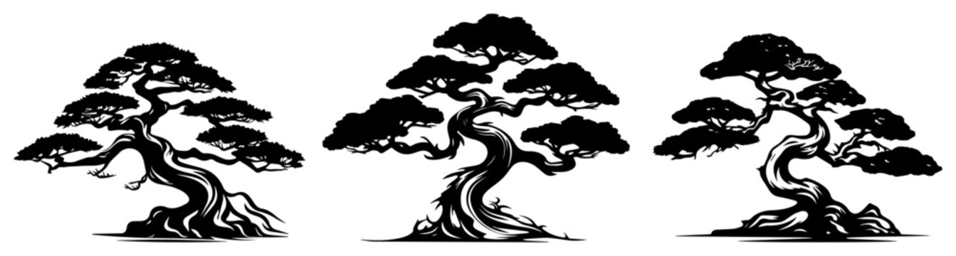 Bonsai tree silhouettes set, vector illustration, japanese miniature plant shapes, zen gardening black icons