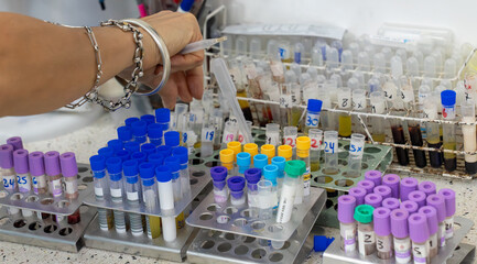 Organizing Blood and Sample Tubes in a Clinical Laboratory