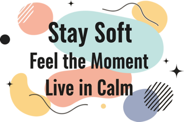 Stay soft feel the moment live in calm inspirational quote isolated on transparent background T-shirt  Design