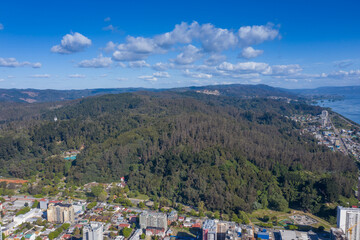 Obraz premium Foto aérea Concepcion 0516