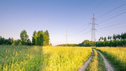 Road runs through a field of tall grass