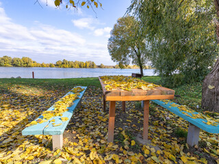 Blue picnic table sits in a park with a view of a lake