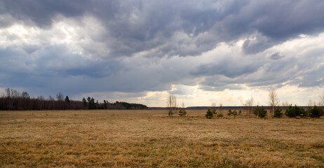 Field of grass is empty and the sky is cloudy