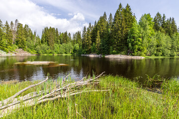 Lake surrounded by trees and grass