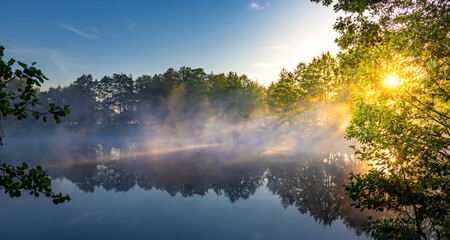 The sun is shining through the trees and the water is calm