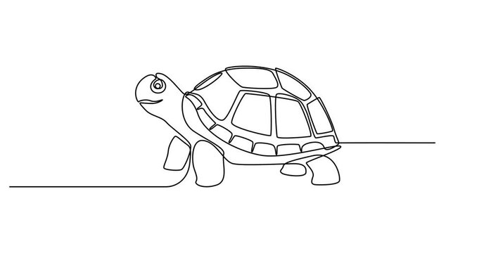 Animated self drawing of  Turtle icon continuous one line drawing outline vector illustration, World Sea Turtle Day minimal banner. Abstract one line drawing on white background