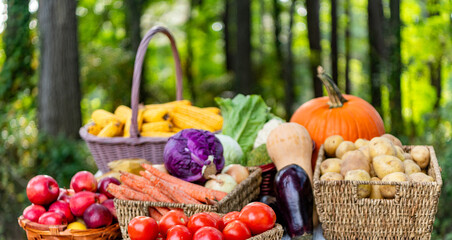 Autumn vegetable harvest. Harvesting in food market. Healthy farming and harvesting. Vitamin...