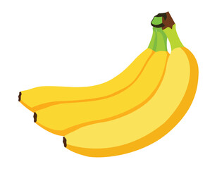 Bunch of three ripe bananas with green stems isolated on white background