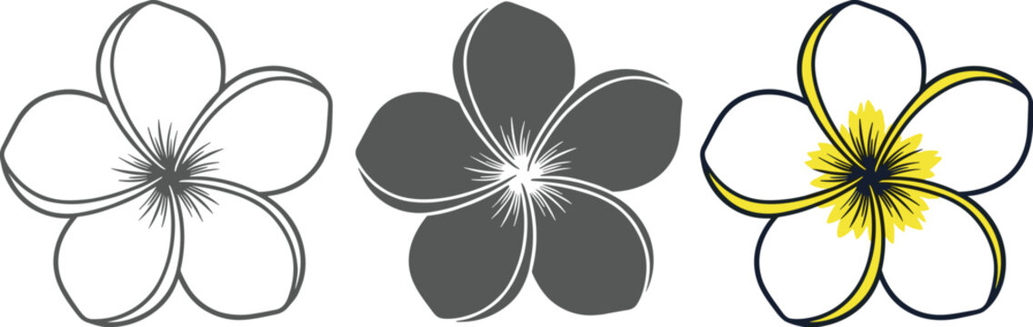 Three plumeria flowers in different styles isolated on white background outline, silhouette, and color drawing with yellow center and white petals