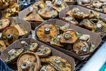 Variety of dried mushrooms in market display