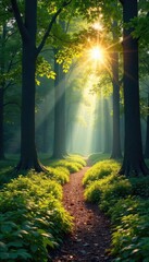Sun-dappled forest path winding through ancient trees, sunlight filtering through leaves, creating a magical atmosphere Perfect for nature, travel, and environmental themes , fantasy, path, outdoor