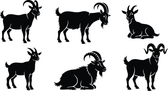 Silhouette vector sheet of six mountain goat poses side and three quarter view standing walking and resting on white background high contrast minimal isolated set collection