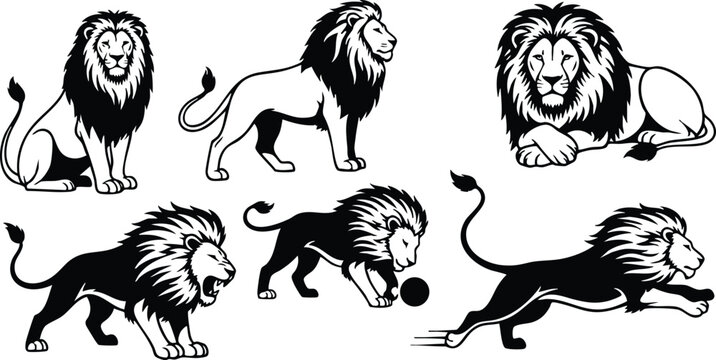 Line art close up set of six black and white lion poses including standing roaring walking playing with ball running profile sitting lying side detailed illustrations