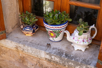 Cozy Home Decor: Succulents in Hand-Painted and Upcycled Pots on a Sunny Windowsill