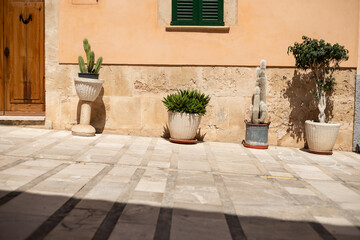 Mediterranean Street Scene with Various Potted Plants and Cacti Under Harsh Sunlight
