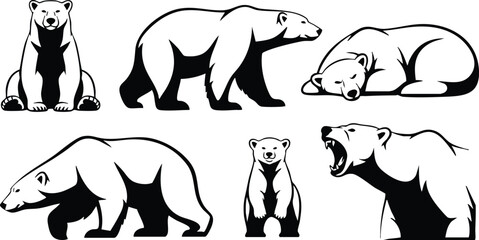 Line art polar bear set six black and white silhouettes sitting standing walking sleeping roaring frontal close up side profile low angle minimal monochrome vector illustration