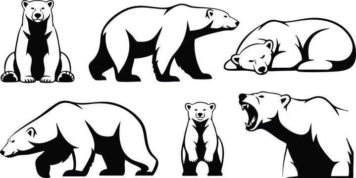 Line art polar bear set six black and white silhouettes sitting standing walking sleeping roaring frontal close up side profile low angle minimal monochrome vector illustration