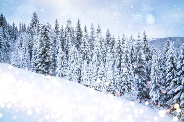 Winter panorama of forest with snow covered trees. Beautiful winter mountains landscape