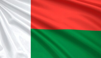 Obraz premium flag of Madagascar