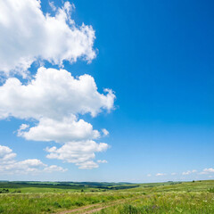 Fototapeta premium Vast green meadow under bright blue sky with clouds for nature background