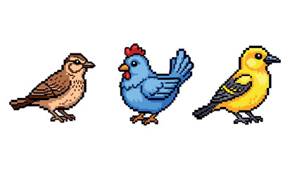 Obraz premium Pixel art birds: sparrow, blue hen, and yellow finch on white background