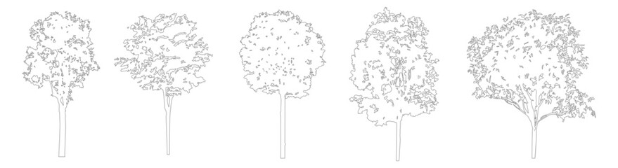 Minimal CAD tree line drawings, clean side view outline trees for architectural and landscape design plans
