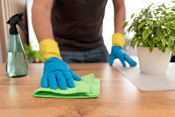 Maintaining the house, cleaning services
