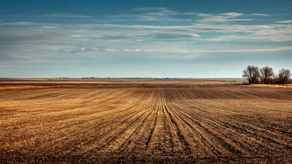 Fototapeta premium Autumn Field and Cloudy Sky