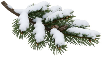 Evergreen pine branch heavily dusted with fresh white snow featuring small brown pinecones