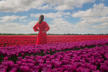 rear view of woman in red dress standing in vast pink tulip field, evoking wonder, solitude, and spring joy