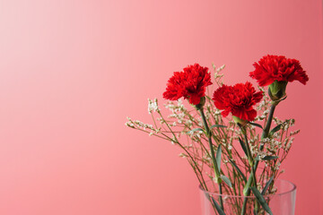 Red carnation flowers with vibrant petals against a soft pink background, symbolizing love, passion, and elegance. Perfect for floral themes, romantic concepts, and decorative designs.
