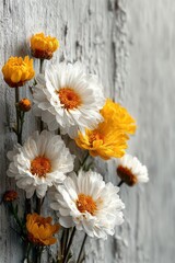 Fototapeta premium White daisies with yellow centers on a white wood background, top view flat lay highlighting bright floral bouquet