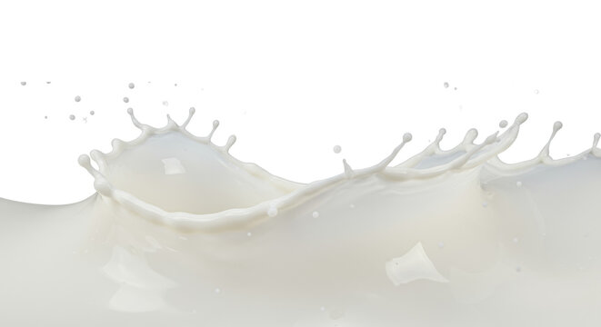 pristine, creamy white milk captured in a dynamic splash wave with spherical droplets, high-contrast rim lighting on a transparent macro background. concept for dairy product advertising