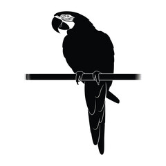 Stylized black macaw parrot silhouette perched on a branch graphic © Mdvector
