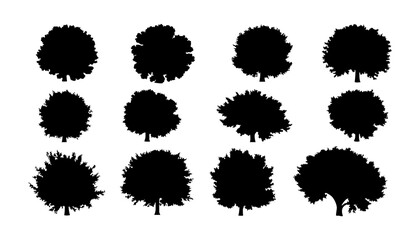 Tree Canopy Top View Silhouette Set