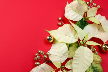 Beautiful poinsettia flowers and Christmas decor on red background, flat lay. Space for text