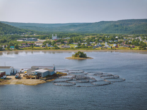 Fish farming at St Alban's, Newfoundland,