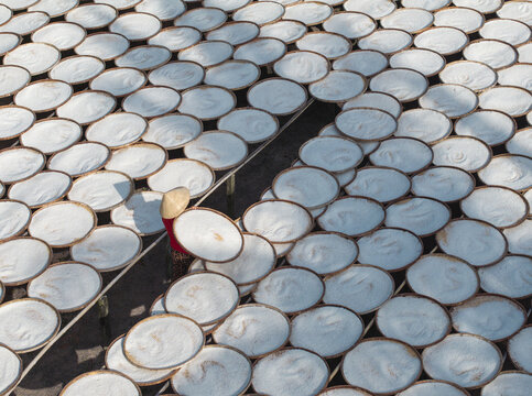 Aerial view of rows of circular trays spread across the landscape, catching the sunlight in a mesmerizing pattern, Tay Ninh, Tay Ninh, Vietnam.