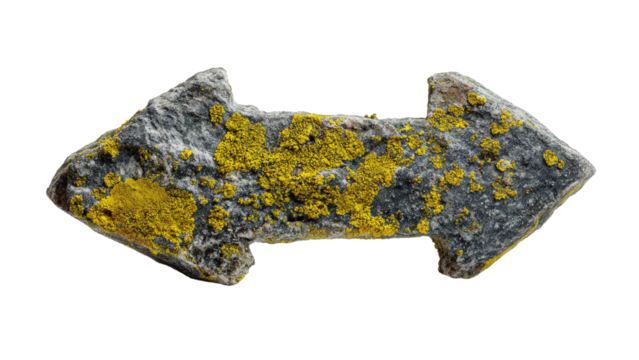 Stone Arrow with Lichen, Isolated - Powered by Adobe