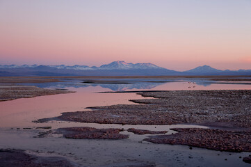 Chaxa Lagoon at sunset, San Pedro de Atacama, Chile © Stefano