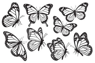 Obraz premium Set of butterfly silhouettes elegant insect collection isolated on transparent background