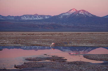 Chaxa Lagoon at sunset, San Pedro de Atacama, Chile © Stefano