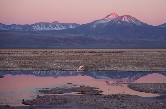 Chaxa Lagoon at sunset, San Pedro de Atacama, Chile