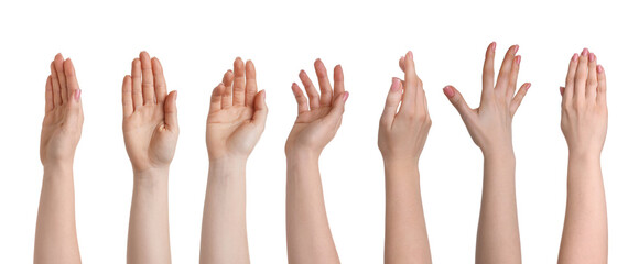Female hands isolated on white, collection of photos