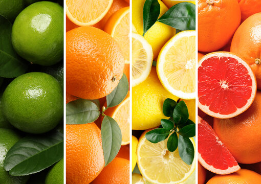 Citrus fruits collage, top view. Lemons, oranges, grapefruits and limes - Powered by Adobe