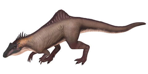 Illustration of a Spinosaurus dinosaur in motion.