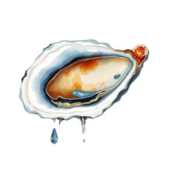 Watercolor illustration of oyster, delicacy, seafood mollusk, realistic and detailed, soft texture, hand painted, isolated on white background, gourmet food, elegant and delicate style.
