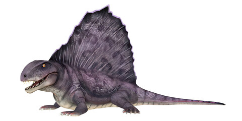Illustration of a Dimetrodon dinosaur © Ilie