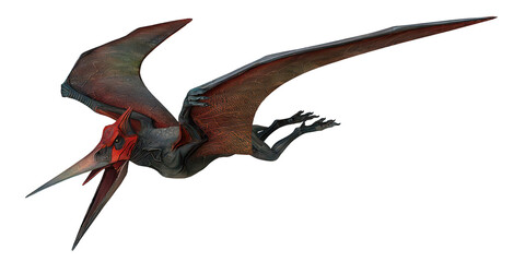 Realistic depiction of a flying pterosaur. © Ilie
